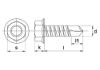 Afbeeldingen van Zelfborende plaatschroef zeskantkop met flens DIN7504K EV 5,5X38MM