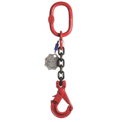 Afbeeldingen van Voorloper + veiligheidshaak Grade 80 10MM 1M