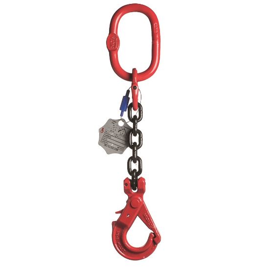 Afbeeldingen van Voorloper + veiligheidshaak Grade 80 10MM 3M