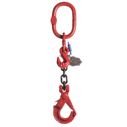 Afbeeldingen van Voorloper+veiligheids-&inkorthaak Gr80 6MM 5M