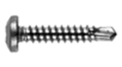 Afbeeldingen van Zelfborende plaatschroef met bolcilinderkop PH DIN7504N RVS A2 2,9X13MM