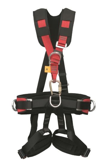 Afbeeldingen van ELLERsafe Harnasgordel elastisch P-71E M-XL