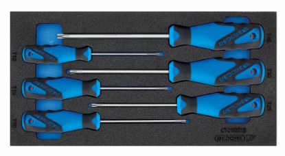 Afbeeldingen van GEDORE Schroevendraaierset 3-componenten 1500 CT1-2163 TX in CT module 6x