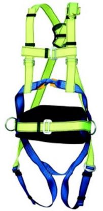 Afbeeldingen van ELLERsafe Harnasgordel groen/blauw P-50 2XL