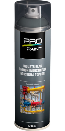 Afbeeldingen van PRO-PAINT Industrie lak / deklaag
