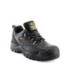 Afbeeldingen van BUCKLER Werkschoen laag BSH005 S3 45