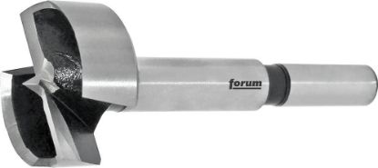Afbeeldingen van FORUM Forstnerboor SP-staal 10MM