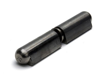 Afbeeldingen van Aanlaspaumelle RVS304 RVS pin & ring 100X16MM