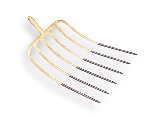 Afbeeldingen van Mestvork 6-tands brons met stift