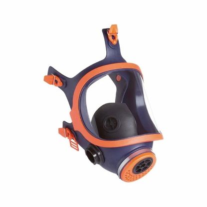 Afbeeldingen van Volgelaatsmasker 732N