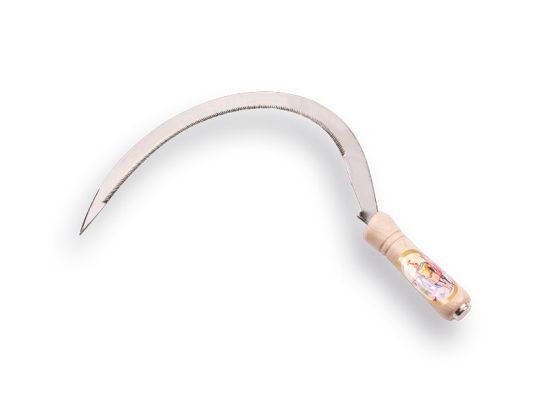 Afbeeldingen van Grassikkel