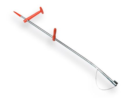 Afbeelding voor categorie Zeisbomen