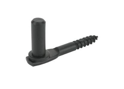 Afbeeldingen van GEBR. BODEGRAVEN Inschroefduim pen EPZ Ø16X43MM