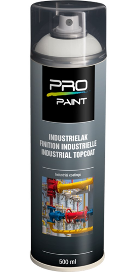 Afbeeldingen van PRO-PAINT Industrie lak / deklaag lichtgrijs RAL7035 HG 500ML