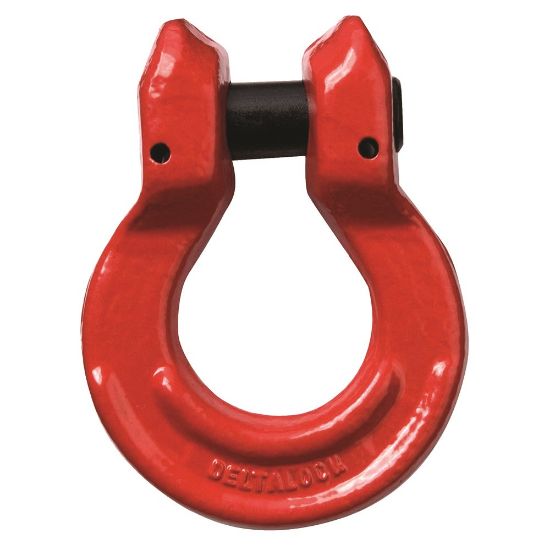 Afbeeldingen van Omega schalm met gaffel Grade 80 8T