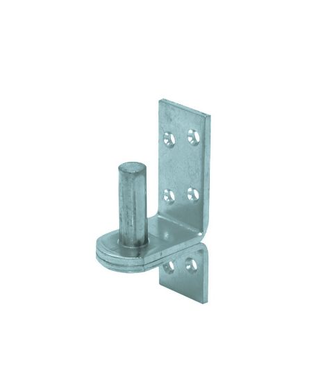 Afbeeldingen van GEBR. BODEGRAVEN Plaatduim EV verhoogd Ø16X45MM 35 38X5MM