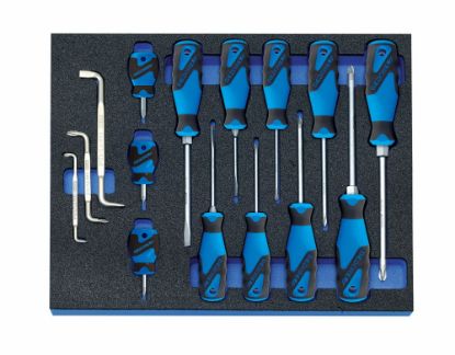 Afbeeldingen van GEDORE Schroevendraaierset 3-componenten 2005 CT2-2160 in CT module 15x