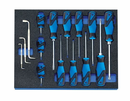 Afbeeldingen van GEDORE Schroevendraaierset 3-componenten 2005 CT2-2160 in CT module 15x