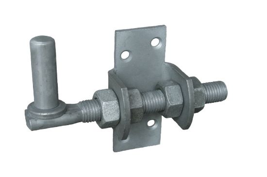 Afbeeldingen van GEBR. BODEGRAVEN Plaatduim TV verstelbaar M16 125MM Ø16X45MM