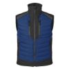 Afbeeldingen van Bodywarmer